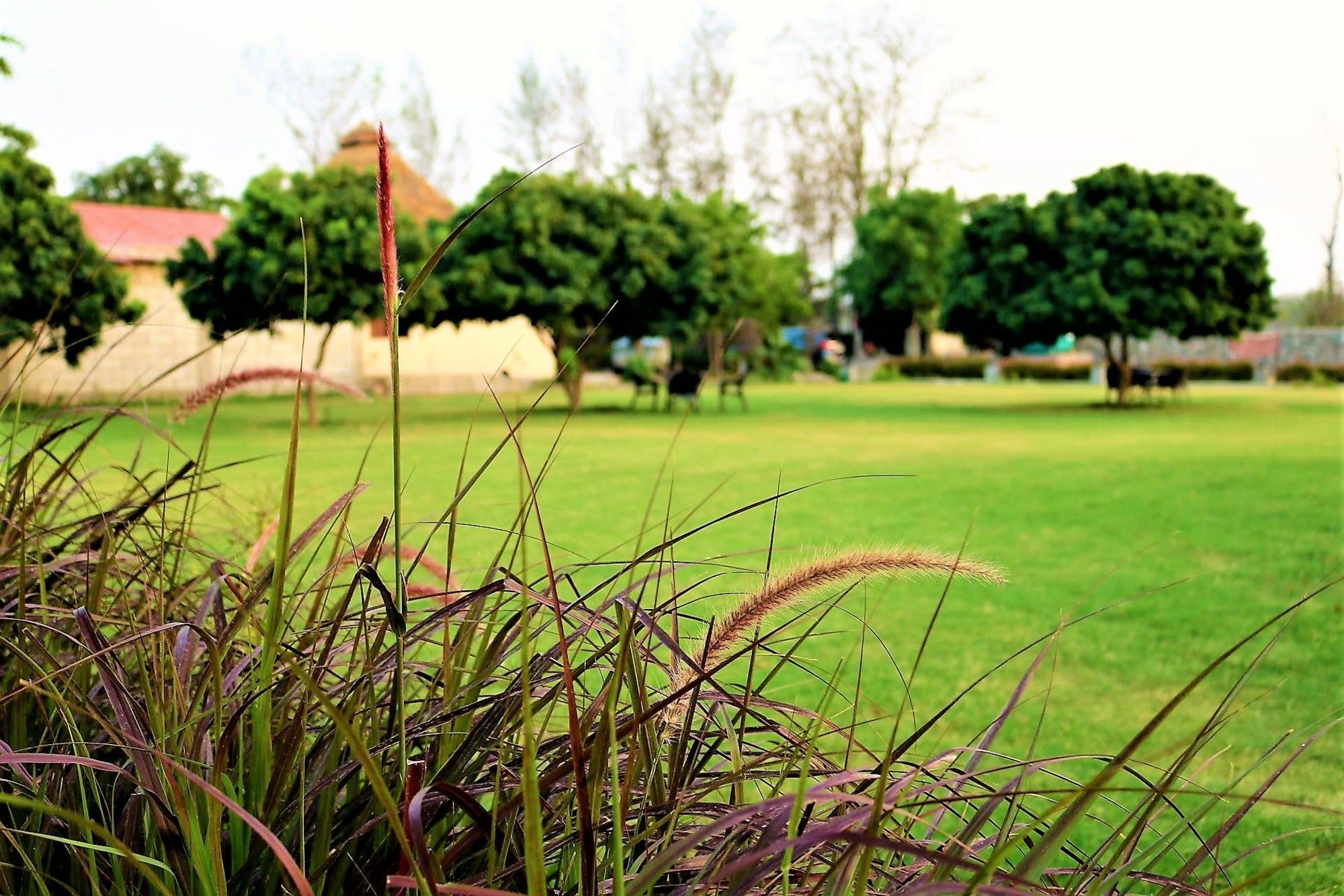 Palette Alaya Resort, Corbett Nainital Eksteriør billede